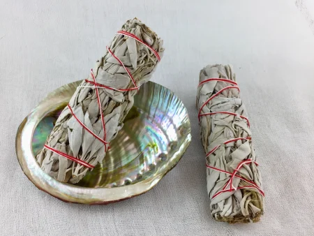 Desert Sage