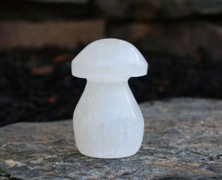 Selenite Mushroom