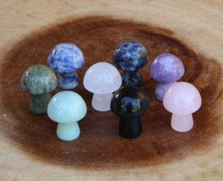 Gemstone Mushrooms