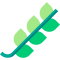 branch_2991092